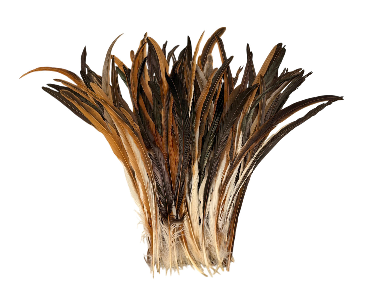 10 Pieces -  16-18" Natural Brown & Cream Mix Coque Tail Loose Long Feathers