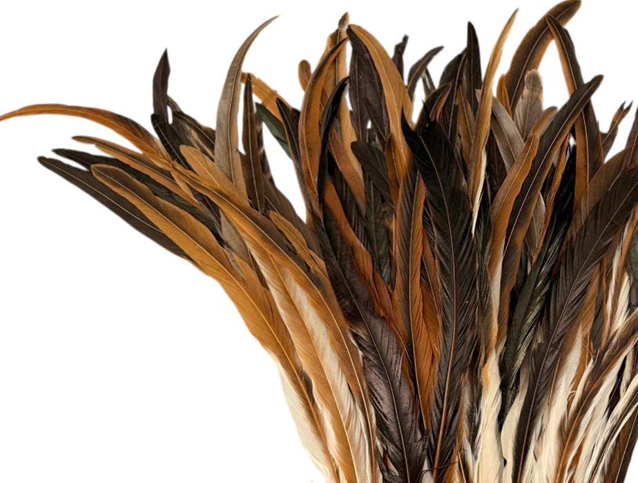 10 Pieces -  16-18" Natural Brown & Cream Mix Coque Tail Loose Long Feathers