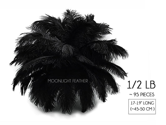 1/2 Lb - 17-19" Black Ostrich Large Drab Wholesale Feathers (Bulk)