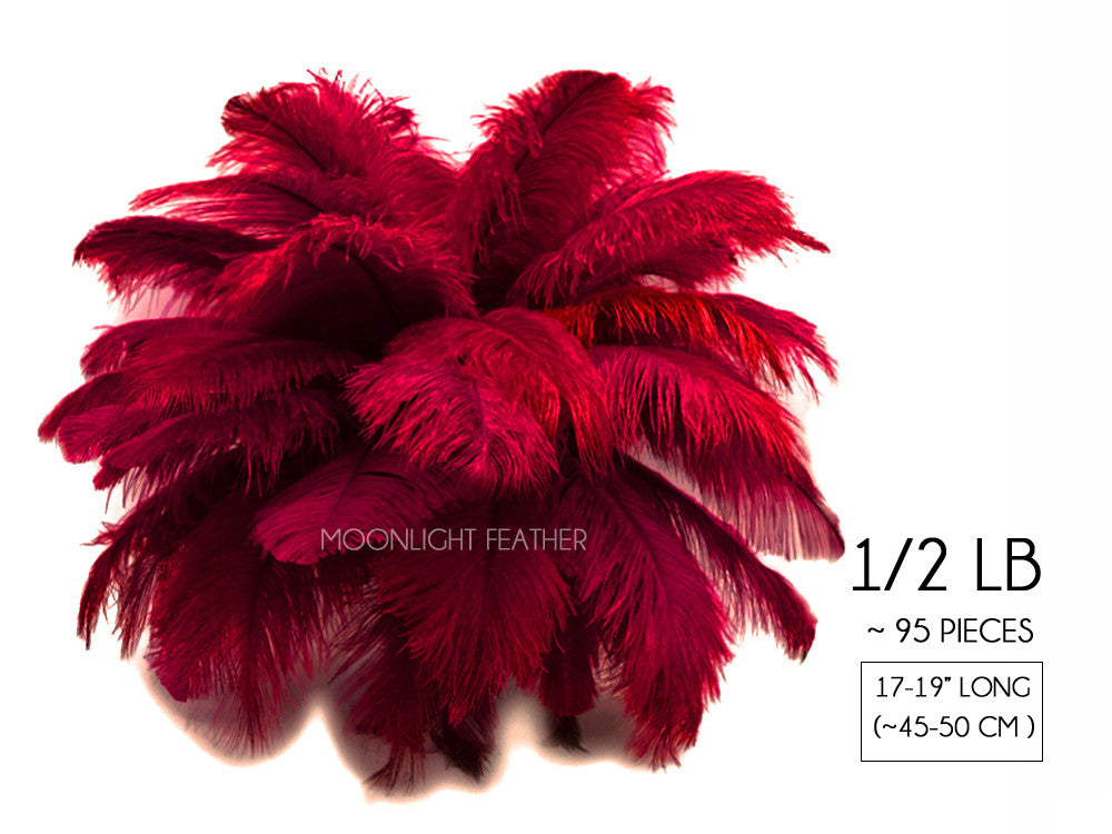 1/2 Lb - 17-19" Burgundy Ostrich Large Drab Wholesale Feathers (Bulk)