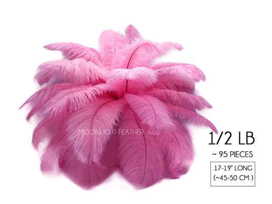 1/2 Lb - 17-19" Candy Pink Ostrich Large Drab Wholesale Feathers (Bulk)