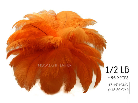 1/2 Lb - 17-19" Orange Large Ostrich Drab Feathers Wholesale (Bulk)