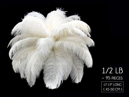 1/2 Lb - 17-19" Off White Ostrich Large Drab Wholesale Feathers (Bulk)