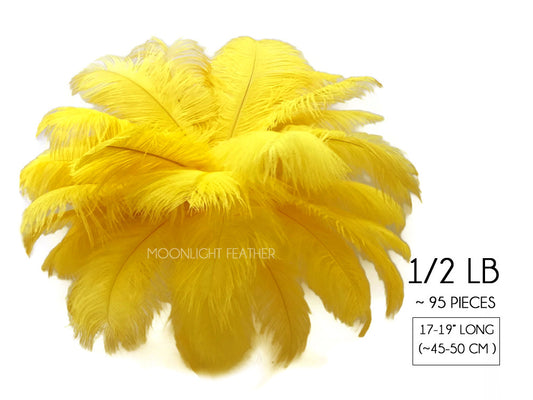 1/2 Lb - 17-19" Yellow Ostrich Large Drab Wholesale Feathers (Bulk)