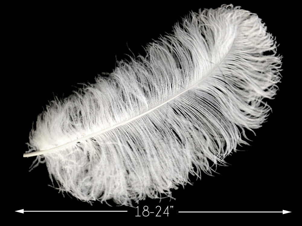 1/2 Lb - 18-24" White Prime Grade Large Ostrich Wing Plume Wholesale Feathers (Bulk)
