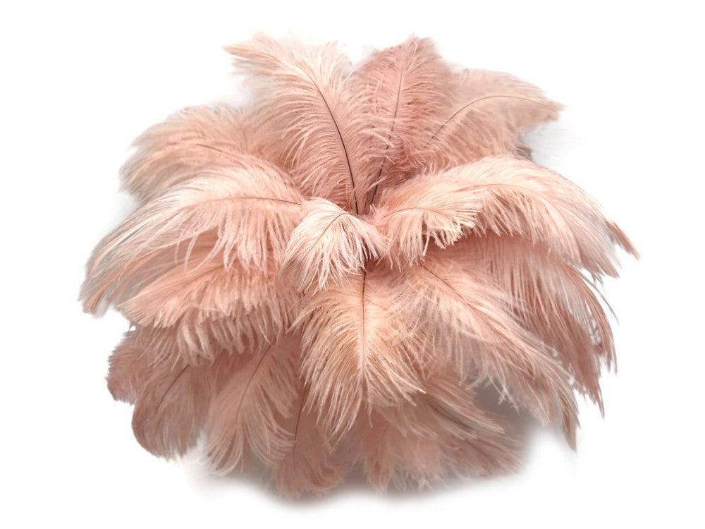 10 Pieces - 19-24" Champagne Ostrich Dyed Drabs Body Feathers