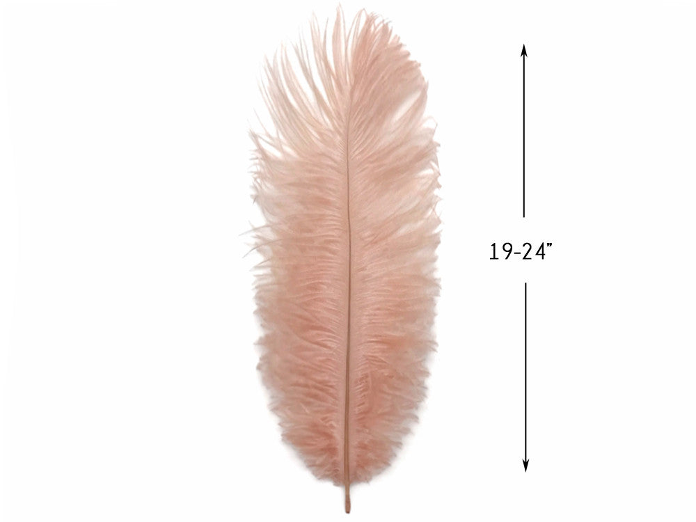 1/2 Lb. - 19-24" Champagne Ostrich Extra Long Drab Wholesale Feathers (Bulk)