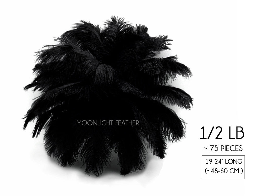 1/2 Lb. - 19-24" Black Ostrich Extra Long Drab Wholesale Feathers (Bulk)