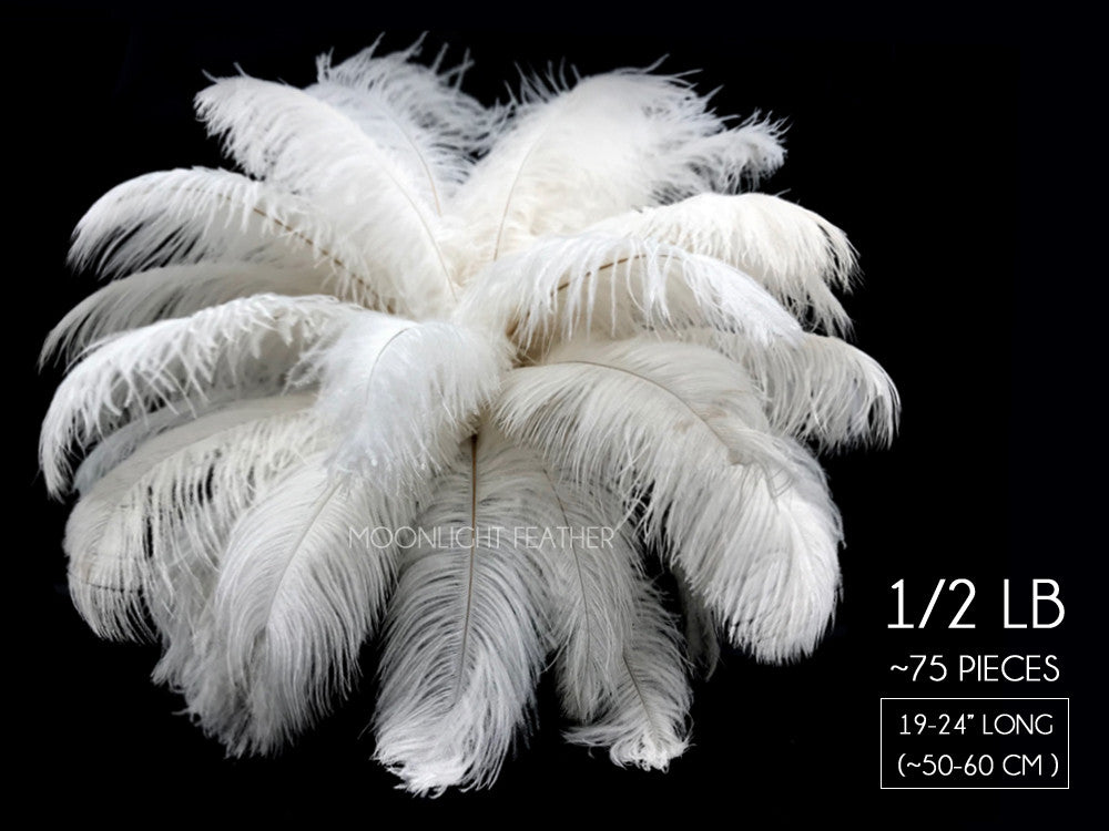 1/2 Lb. - 19-24" Off White Ostrich Extra Long Drab Wholesale Feathers (Bulk)