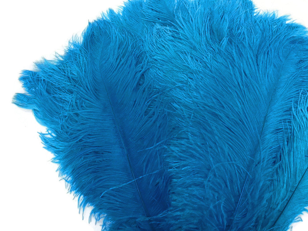 10 Pieces - 8-10" Turquoise Blue Ostrich Dyed Drabs Feathers