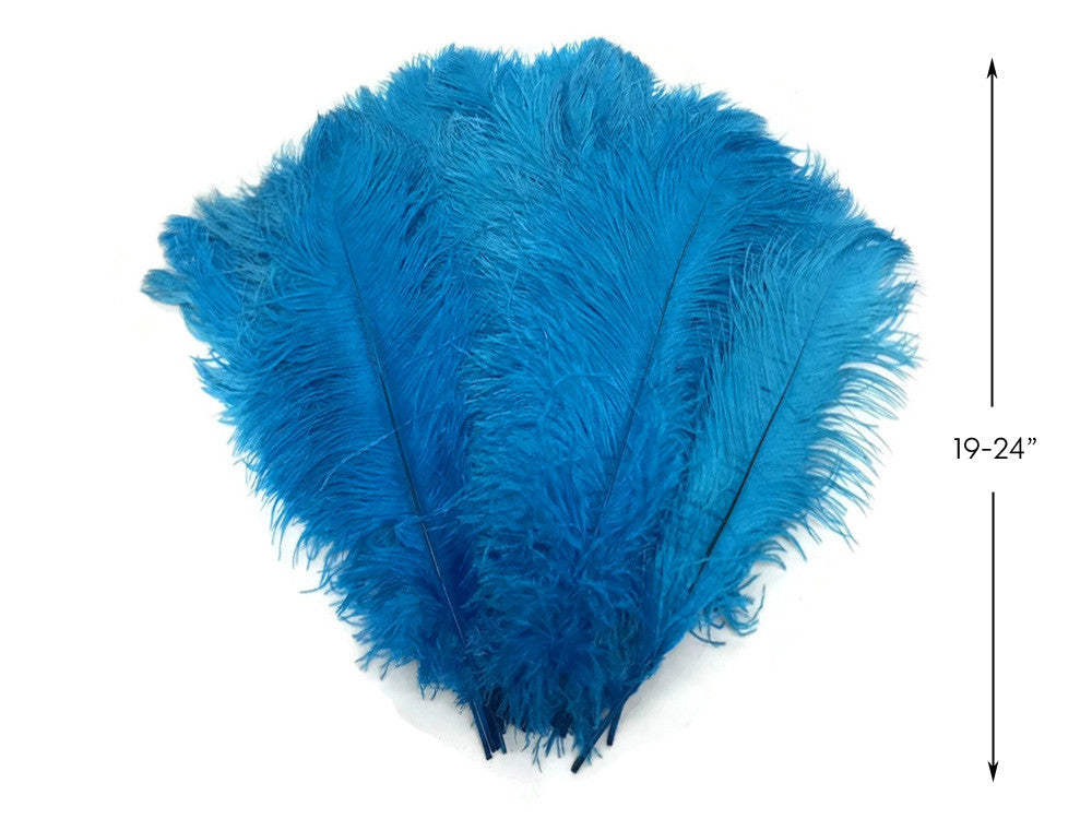 Ostrich Feathers, 100 Pieces - 11-13