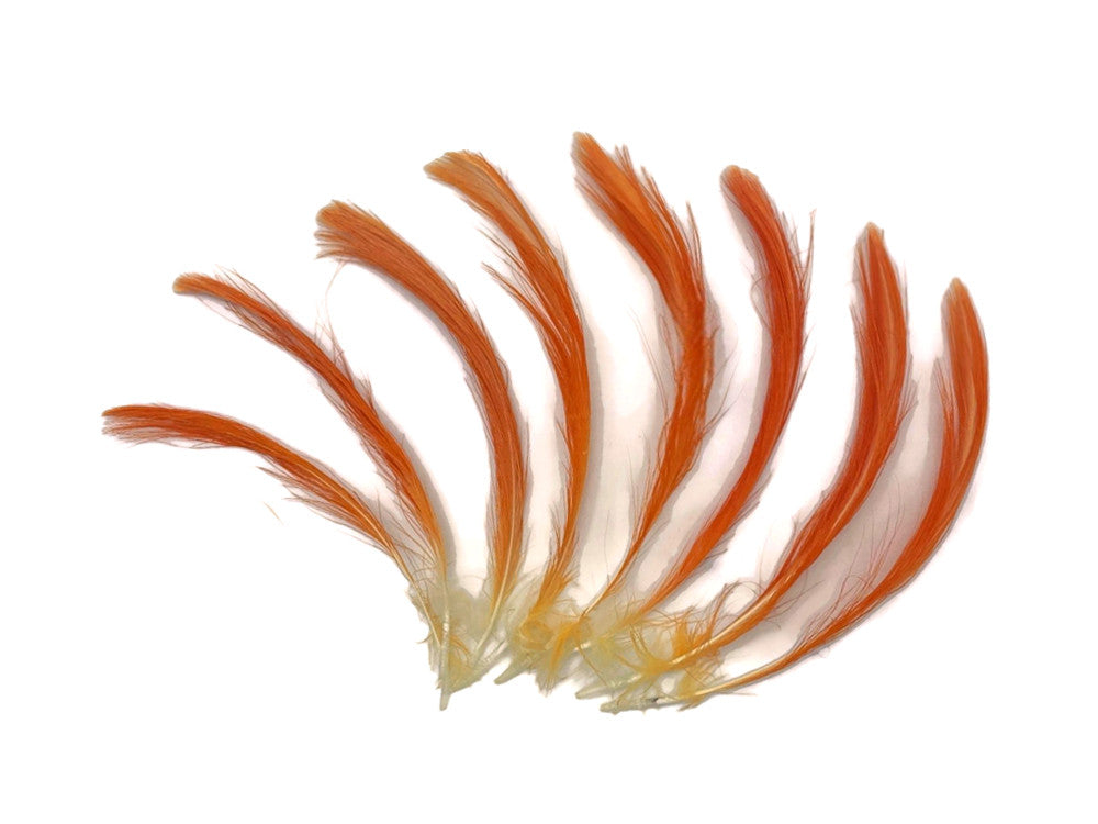 4 Pieces - Orange Moluccan Cockatoo Topknot Crest Feather