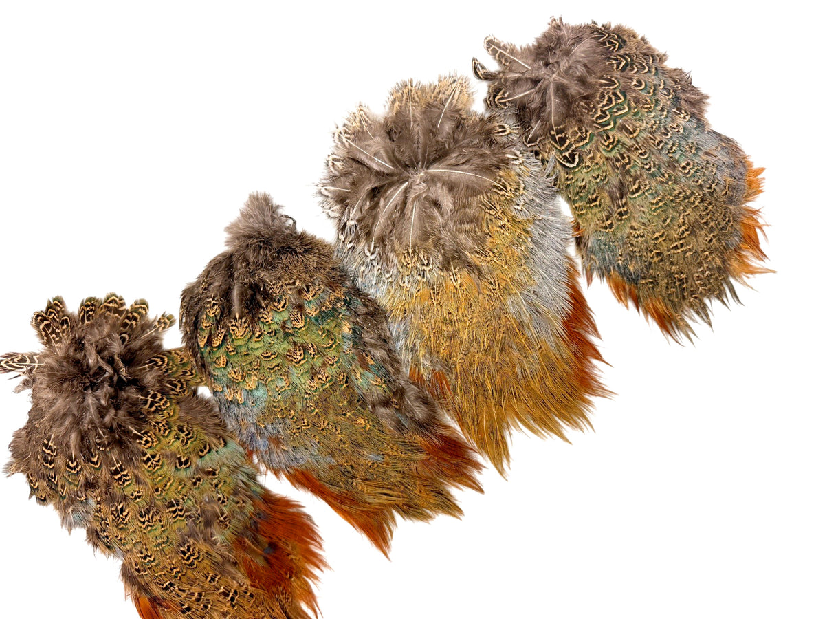 1 Piece - Grade #2 Natural Ringneck Pheasant Complete Rump Patch Feather Pelt