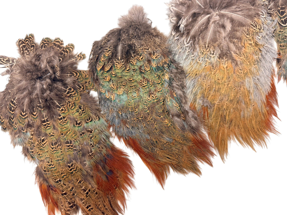 1 Piece - Grade #2 Natural Ringneck Pheasant Complete Rump Patch Feather Pelt