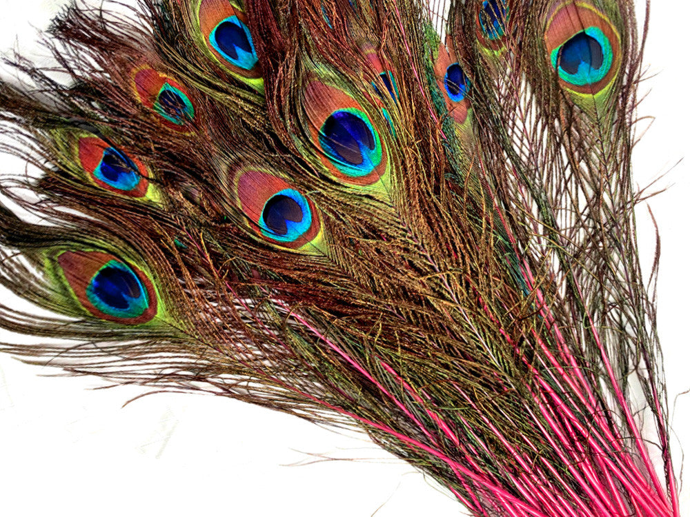 50 Pieces - 20-25" Candy Pink Dyed Over Natural Long Peacock Tail Eye Wholesale Feathers (Bulk)