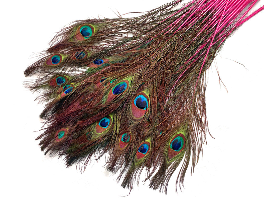 50 Pieces - 20-25" Candy Pink Dyed Over Natural Long Peacock Tail Eye Wholesale Feathers (Bulk)