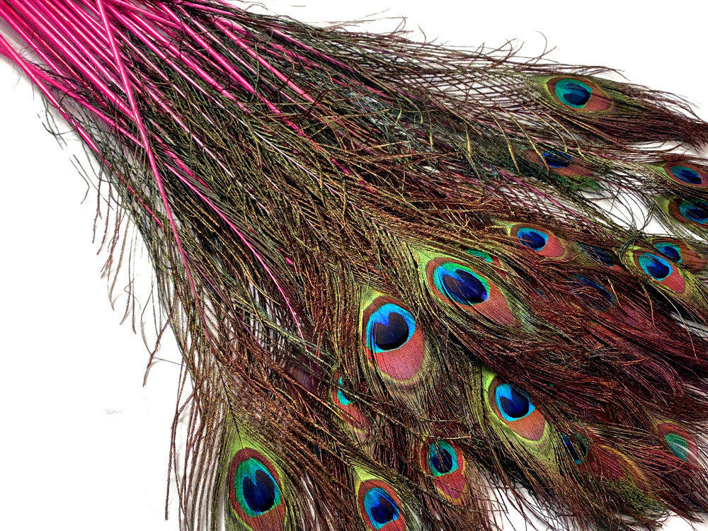 50 Pieces - 20-25" Candy Pink Dyed Over Natural Long Peacock Tail Eye Wholesale Feathers (Bulk)