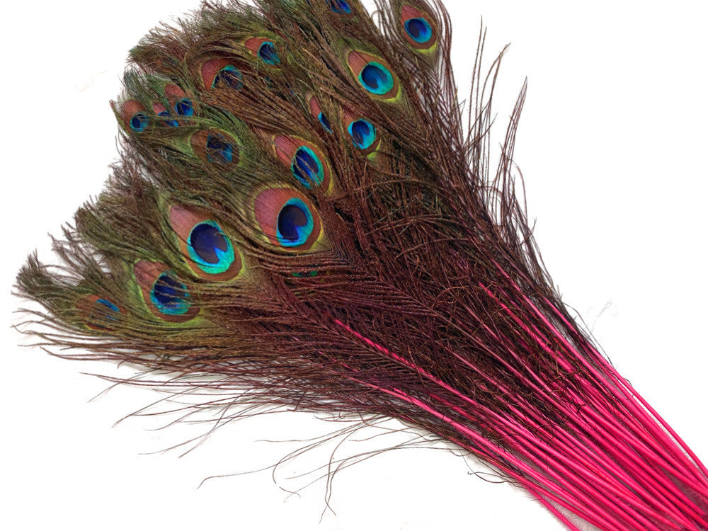 50 Pieces - 20-25" Candy Pink Dyed Over Natural Long Peacock Tail Eye Wholesale Feathers (Bulk)