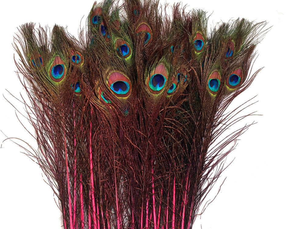 50 Pieces - 20-25" Candy Pink Dyed Over Natural Long Peacock Tail Eye Wholesale Feathers (Bulk)