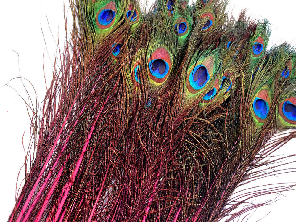 50 Pieces - 20-25" Candy Pink Dyed Over Natural Long Peacock Tail Eye Wholesale Feathers (Bulk)