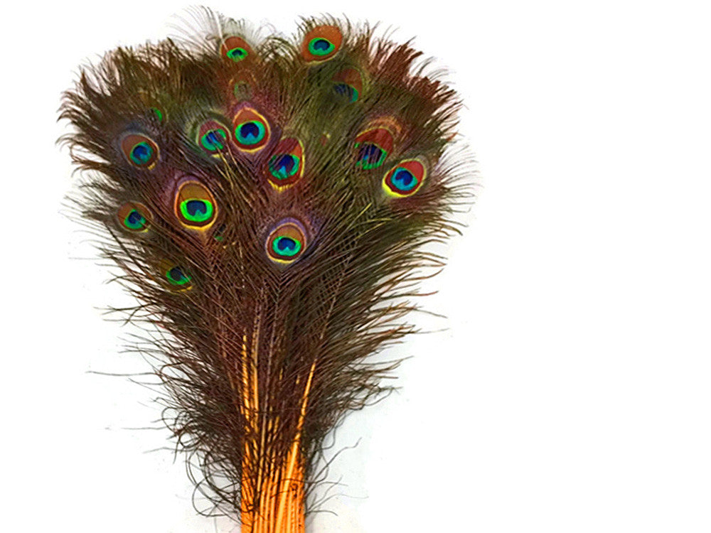 50 Pieces - 20-25" Golden Yellow Dyed Over Natural Long Peacock Tail Eye Wholesale Feathers (Bulk)