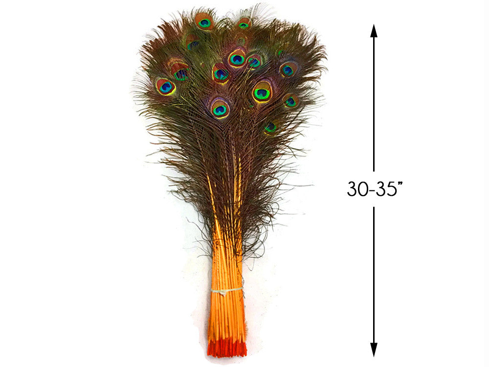 50 Pieces - 30-35" Golden Yellow Dyed Over Natural Long Peacock Tail Eye Wholesale Feathers (Bulk)