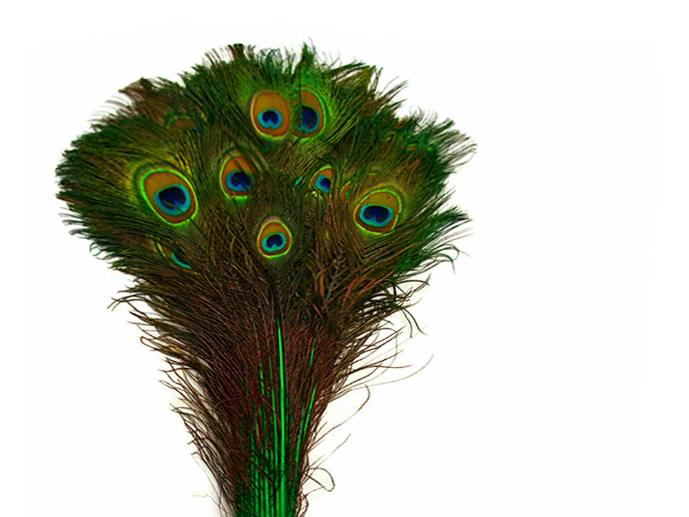 50 Pieces - 30-35" Kelly Green Dyed Over Natural Long Peacock Tail Eye Wholesale Feathers (Bulk)