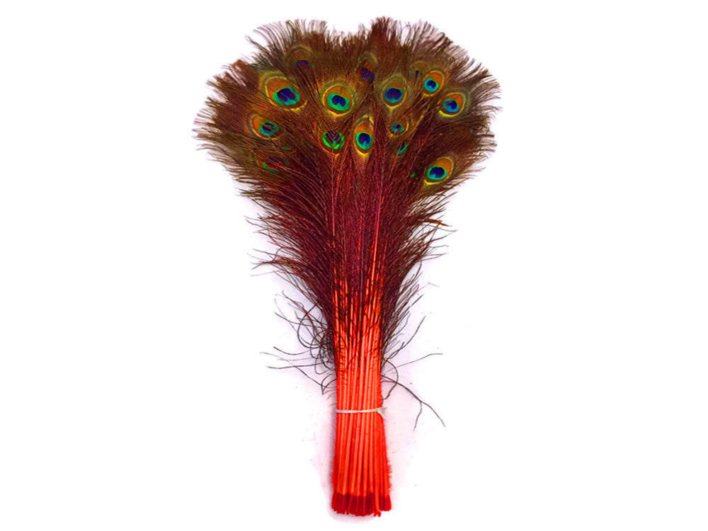 50 Pieces - 20-25" Orange Dyed Over Natural Long Peacock Tail Eye Wholesale Feathers (Bulk)