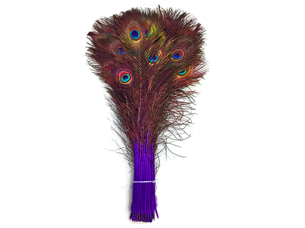 50 Pieces - 20-25" Purple Dyed Over Natural Long Peacock Tail Eye Wholesale Feathers (Bulk)