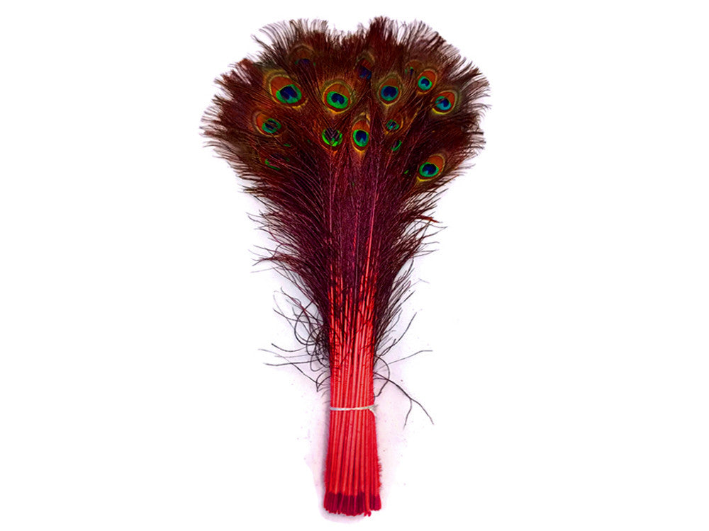 50 Pieces - 30-35" Red Dyed Over Natural Long Peacock Tail Eye Wholesale Feathers (Bulk)