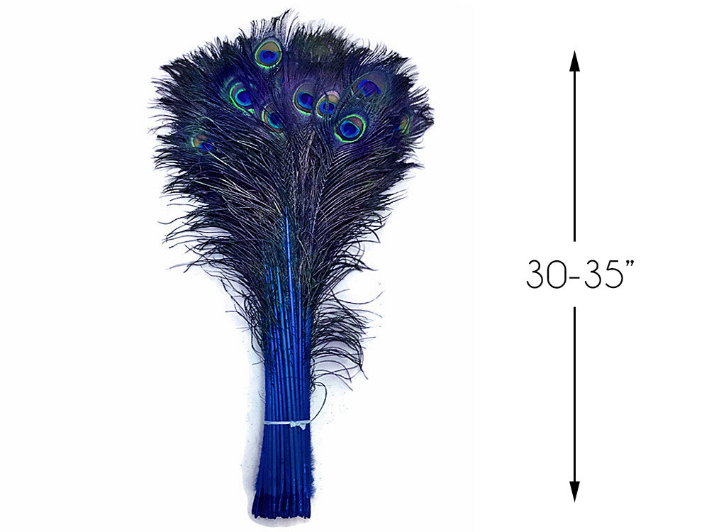 50 Pieces - 30-35" Royal Blue Dyed Over Natural Long Peacock Tail Eye Wholesale Feathers (Bulk)