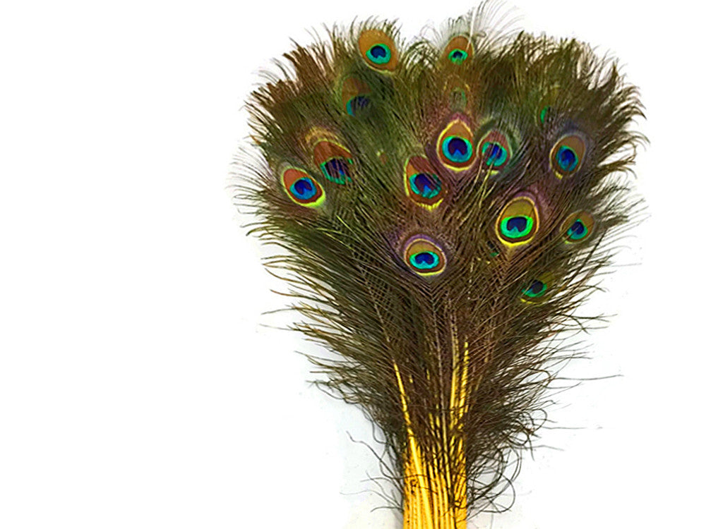 50 Pieces - 20-25" Yellow Dyed Over Natural Long Peacock Tail Eye Wholesale Feathers (Bulk)