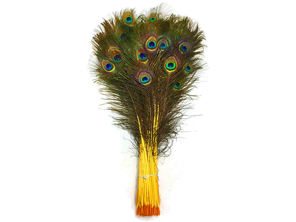 50 Pieces - 30-35" Yellow Dyed Over Natural Long Peacock Tail Eye Wholesale Feathers (Bulk)