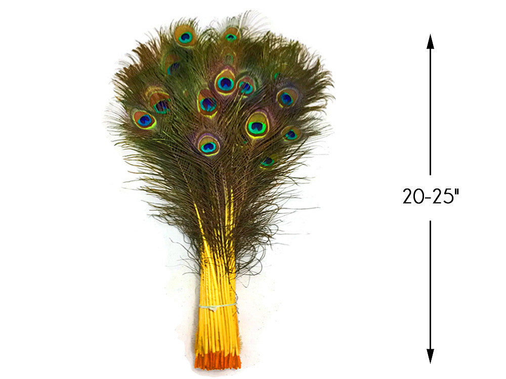 50 Pieces - 20-25" Yellow Dyed Over Natural Long Peacock Tail Eye Wholesale Feathers (Bulk)