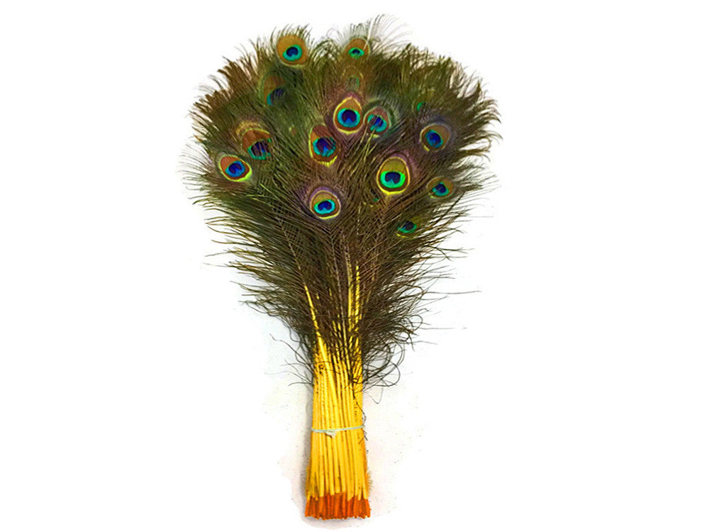 50 Pieces - 20-25" Yellow Dyed Over Natural Long Peacock Tail Eye Wholesale Feathers (Bulk)