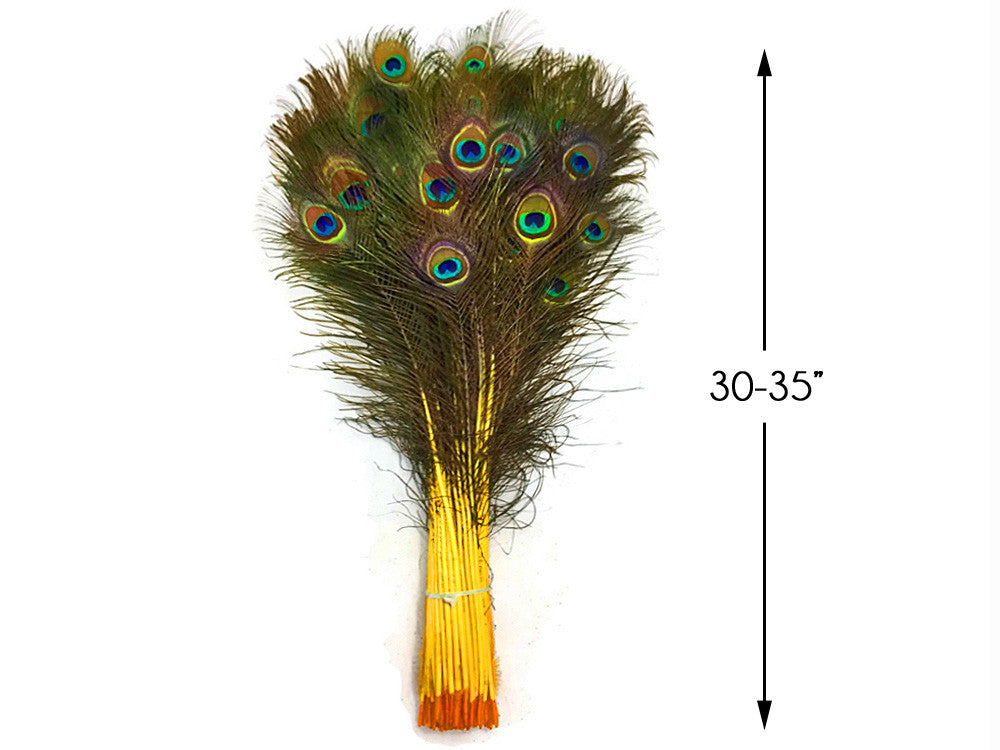 50 Pieces - 30-35" Yellow Dyed Over Natural Long Peacock Tail Eye Wholesale Feathers (Bulk)