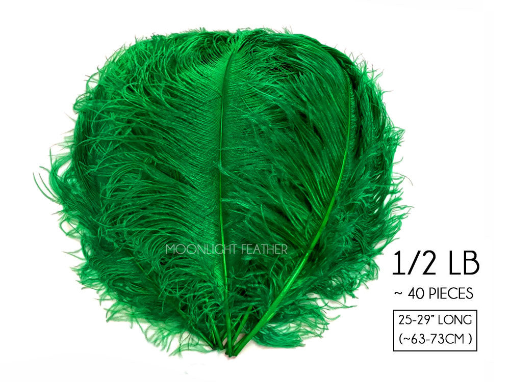 1/2 Lb. - 25-29" Kelly Green Large Ostrich Wing Plume Wholesale Feathers (Bulk)