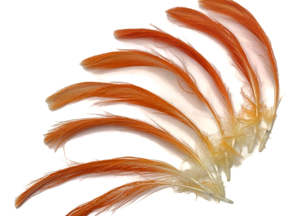 4 Pieces - Orange Moluccan Cockatoo Topknot Crest Feather