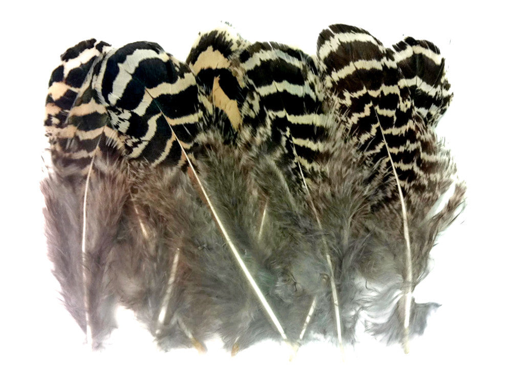 10 Pieces - 3-6" Natural Brown Mottled Peahen Body Plumage Feather