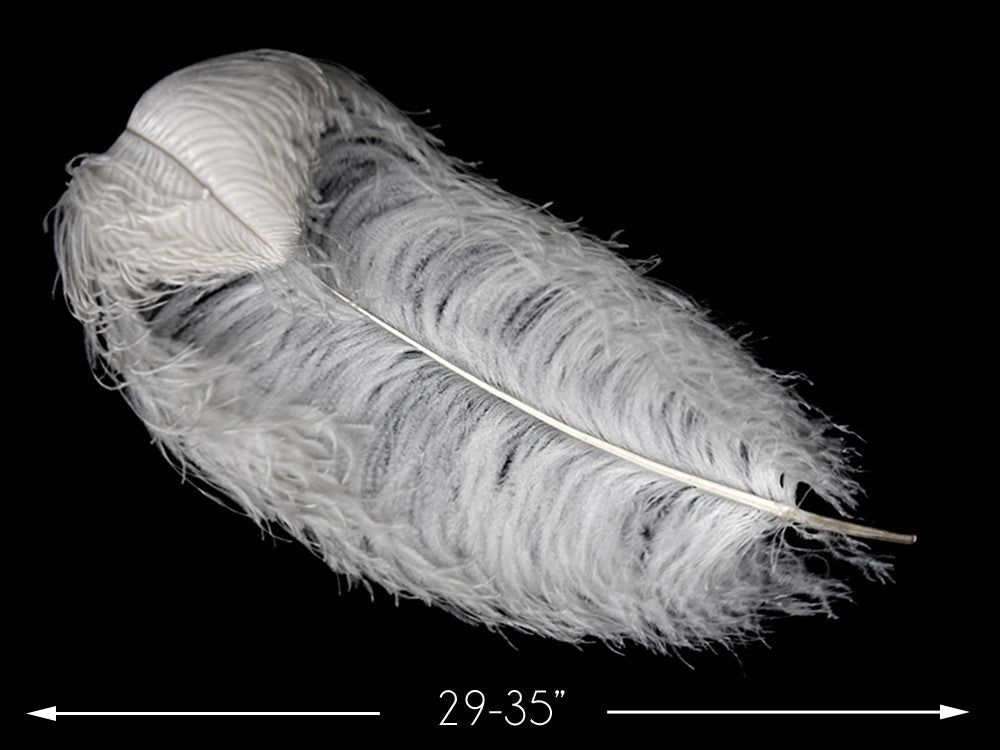 1/2 Lb. - 29-35" White X-Large Ostrich Wing Plumes Wholesale Feathers (Bulk)