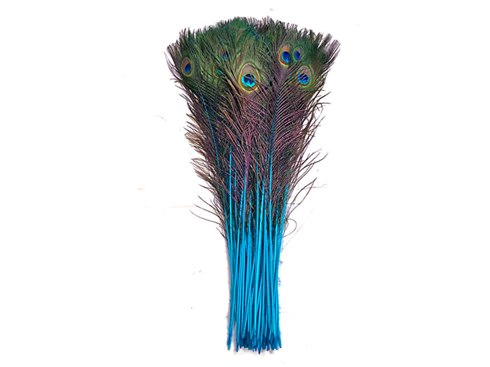 50 Pieces - 20-25" Turquoise Blue Dyed Over Natural Long Peacock Tail Eye Wholesale Feathers (Bulk)