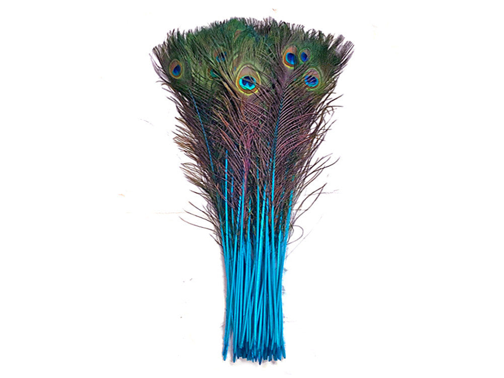 50 Pieces - 30-35" Turquoise Blue Dyed Over Natural Long Peacock Tail Eye Wholesale Feathers (Bulk)