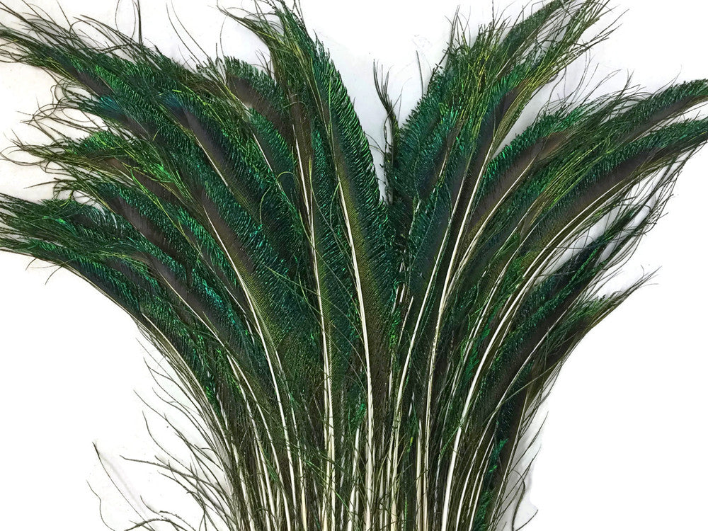 50 Pieces - 30-35" Natural Iridescent Green Peacock Swords Cut Wholesale Feathers (Bulk)