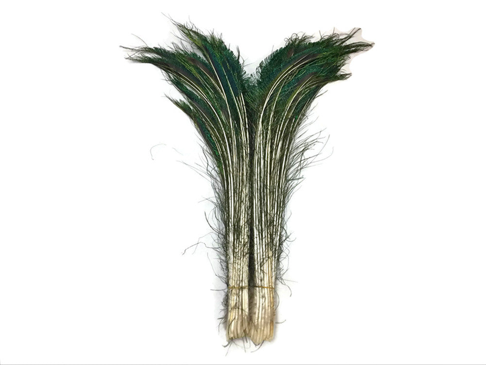 50 Pieces - 30-35" Natural Iridescent Green Peacock Swords Cut Wholesale Feathers (Bulk)