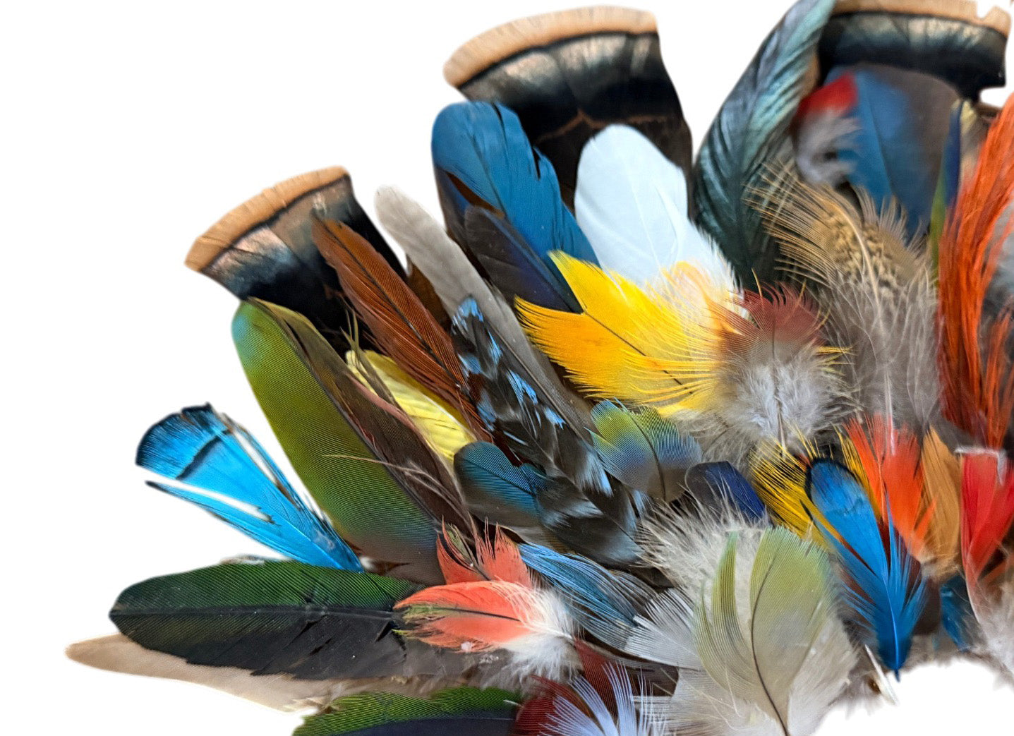 Collection 110 - Mix Random Feather Sample Pack (Bulk)