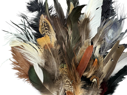 Collection 113 - Mix Random Feather Sample Pack (Bulk)