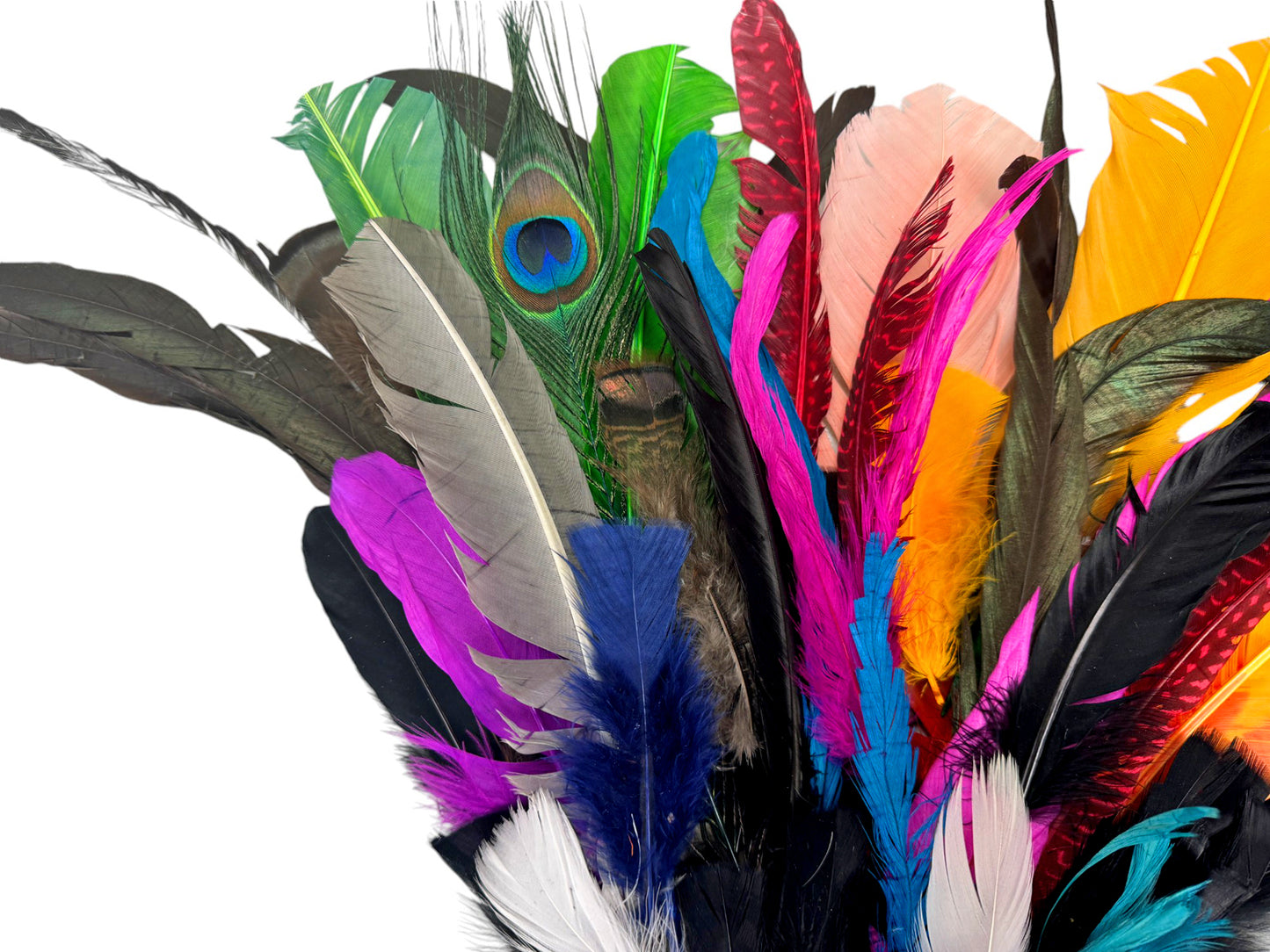 Collection 117 - Mix Random Feather Sample Pack (Bulk)