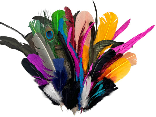 Collection 117 - Mix Random Feather Sample Pack (Bulk)