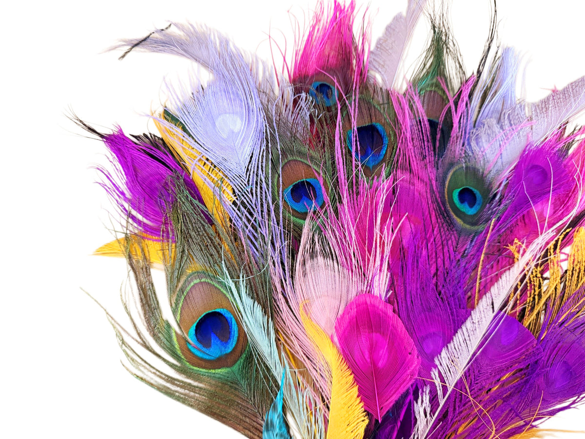 Collection 117 - Mix Random Feather Sample Pack (Bulk)