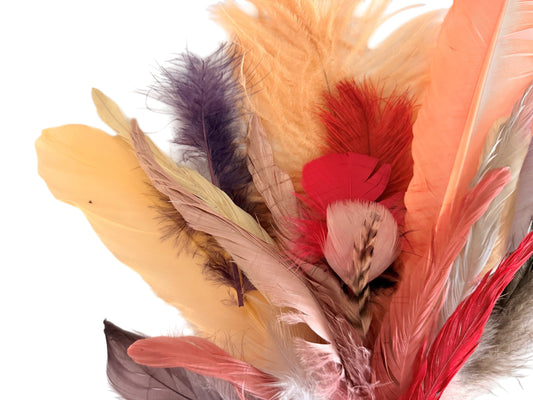 Collection 61 - Mix Random Feather Sample Pack (Bulk)